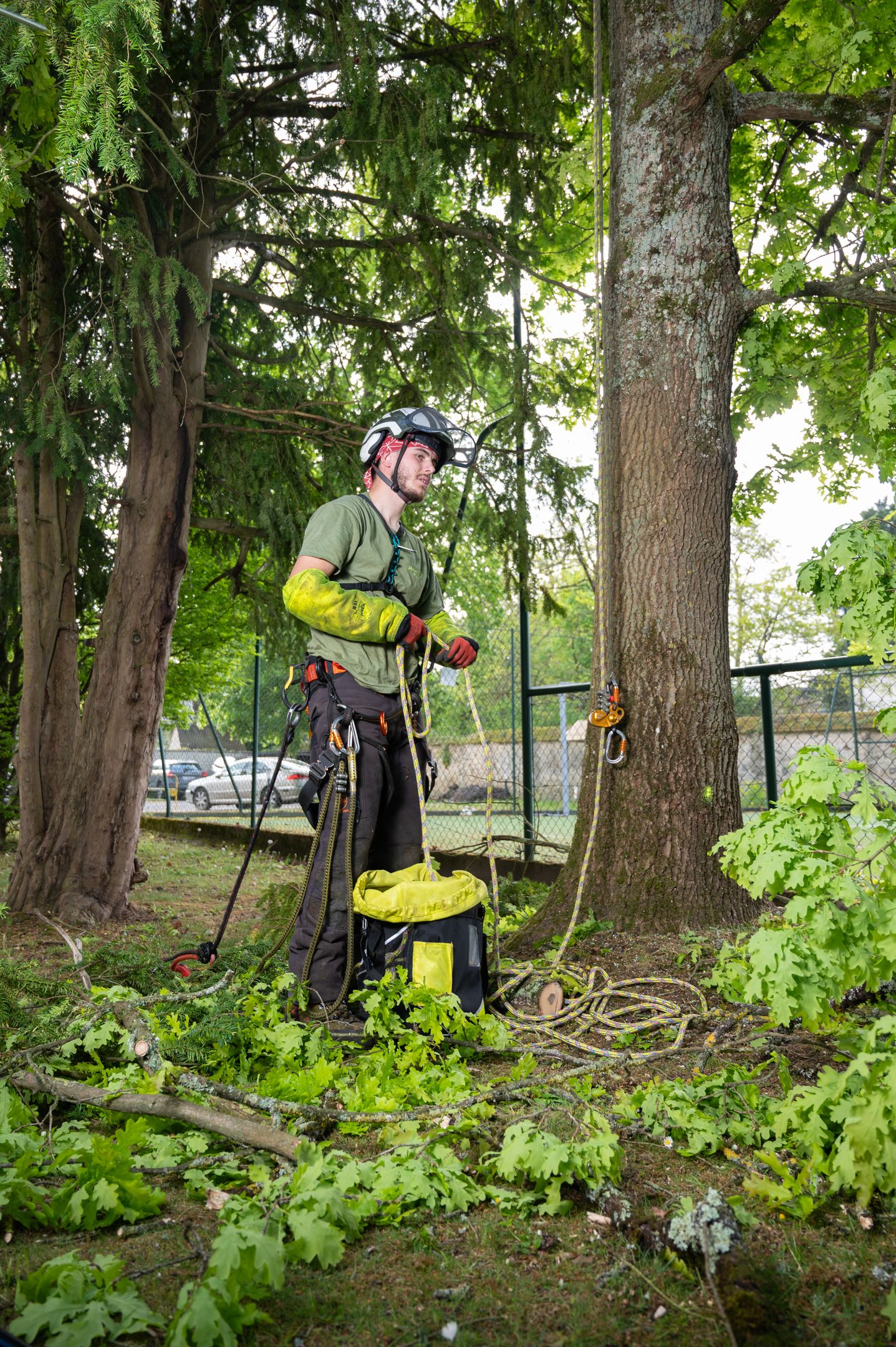 Nos arboristes au service de vos arbres